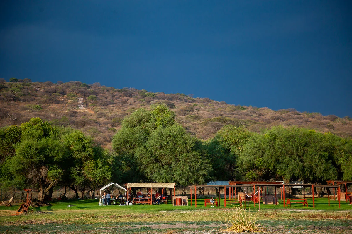 Entorno campestre a la orilla de la laguna