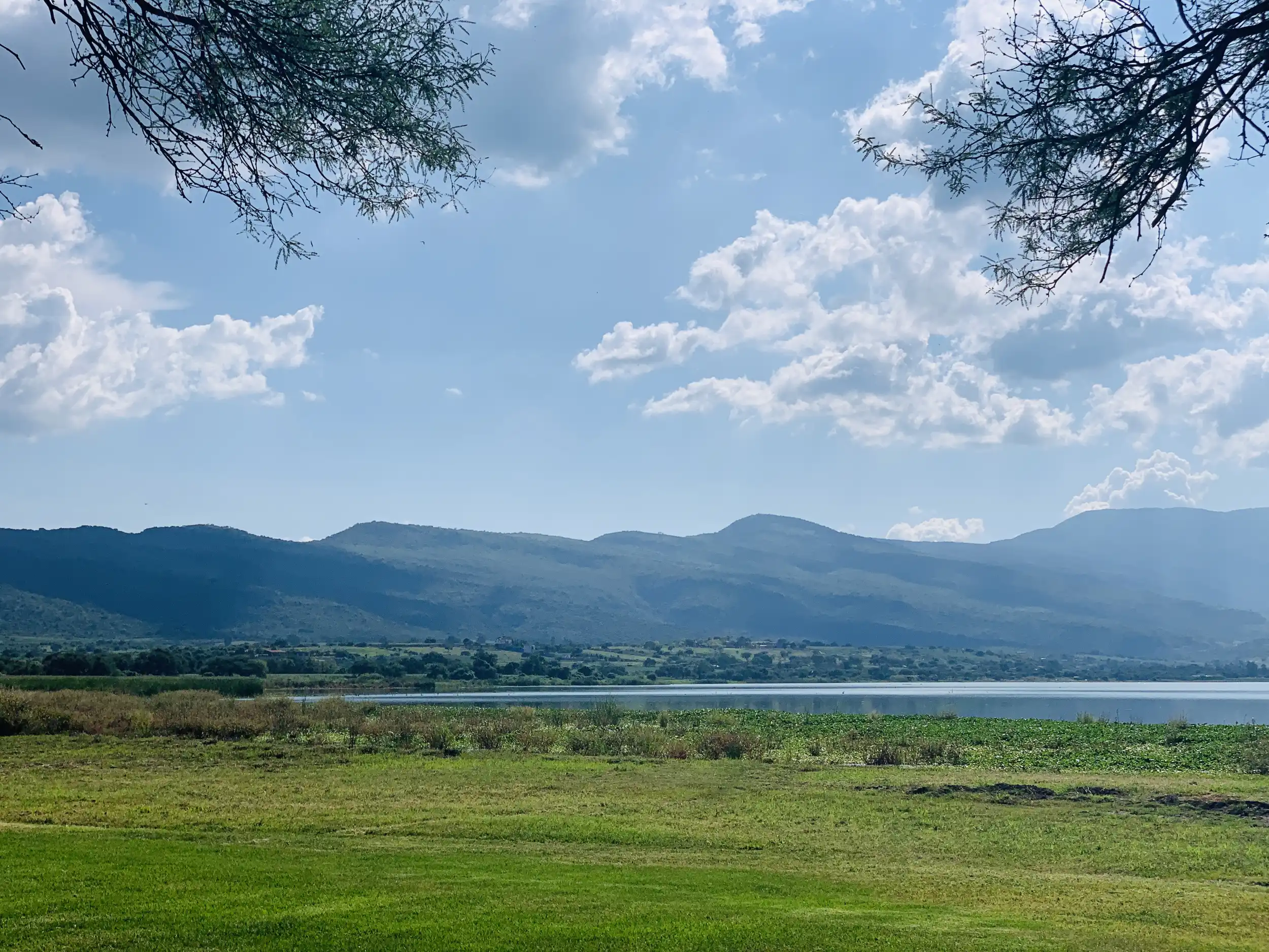 Panorámica de áreas verdes y montañas